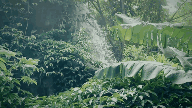 和盛贵宾会|主页